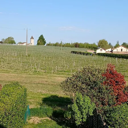 Maison Bijou بيت للعطل *